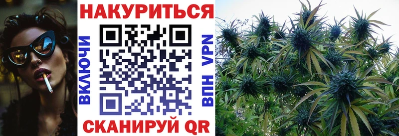 Шишки марихуана OG Kush  Саранск 